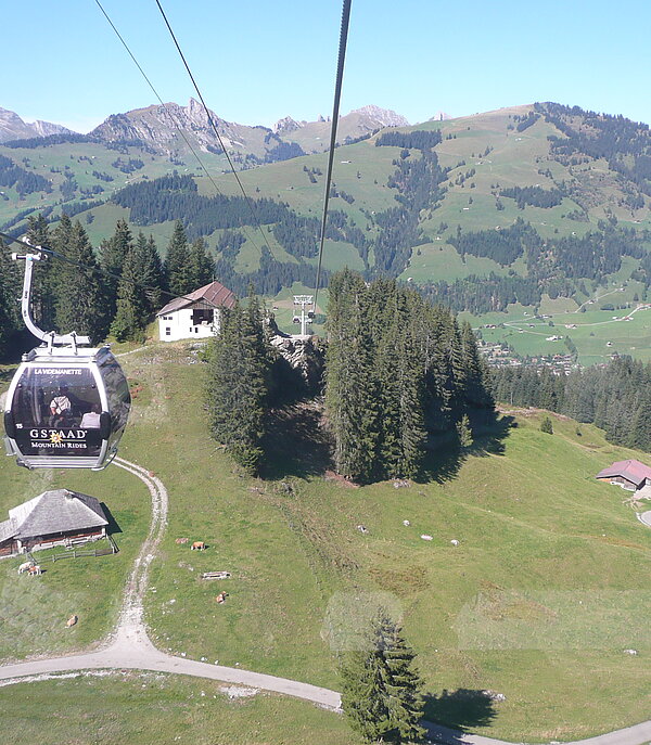 A 10-seater gondola of the La Videmanette cable car floats in the air. Below, you can see the green pastures and the cows with their alpine hut. The Vaudois mountains can be seen in the background.
