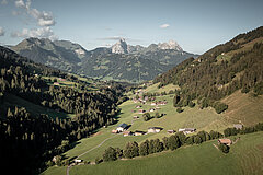 Luftaufnahme vom grünen Turbachtal mit verstreuten Häusern und mit Bergen im Hintergrund.