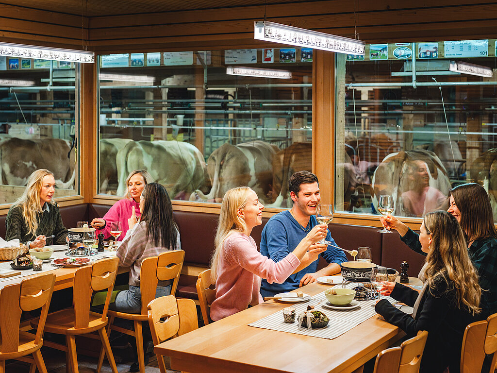 An zwei gedeckten Tischen verteilt sitzen sieben Gäste in Michels Stallbeizli, essen Käsefondue und stossen mit Weissweingläsern an. Im Hintergrund kann man die Kühe im Stall beobachten.