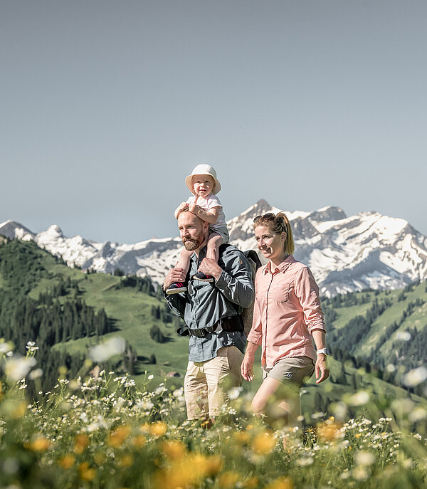 Family with a small child walks through the flower meadows in summer weather.