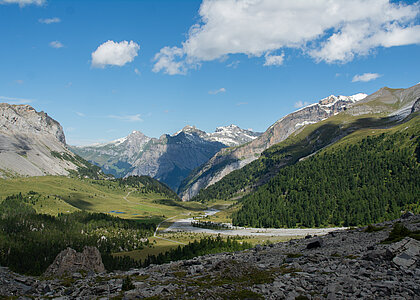 Landschaft_Sunnbüel_Kandersteg_Aline-Fuhrer@Tourismus-Adelboden-Lenk-Kandersteg (5).jpg