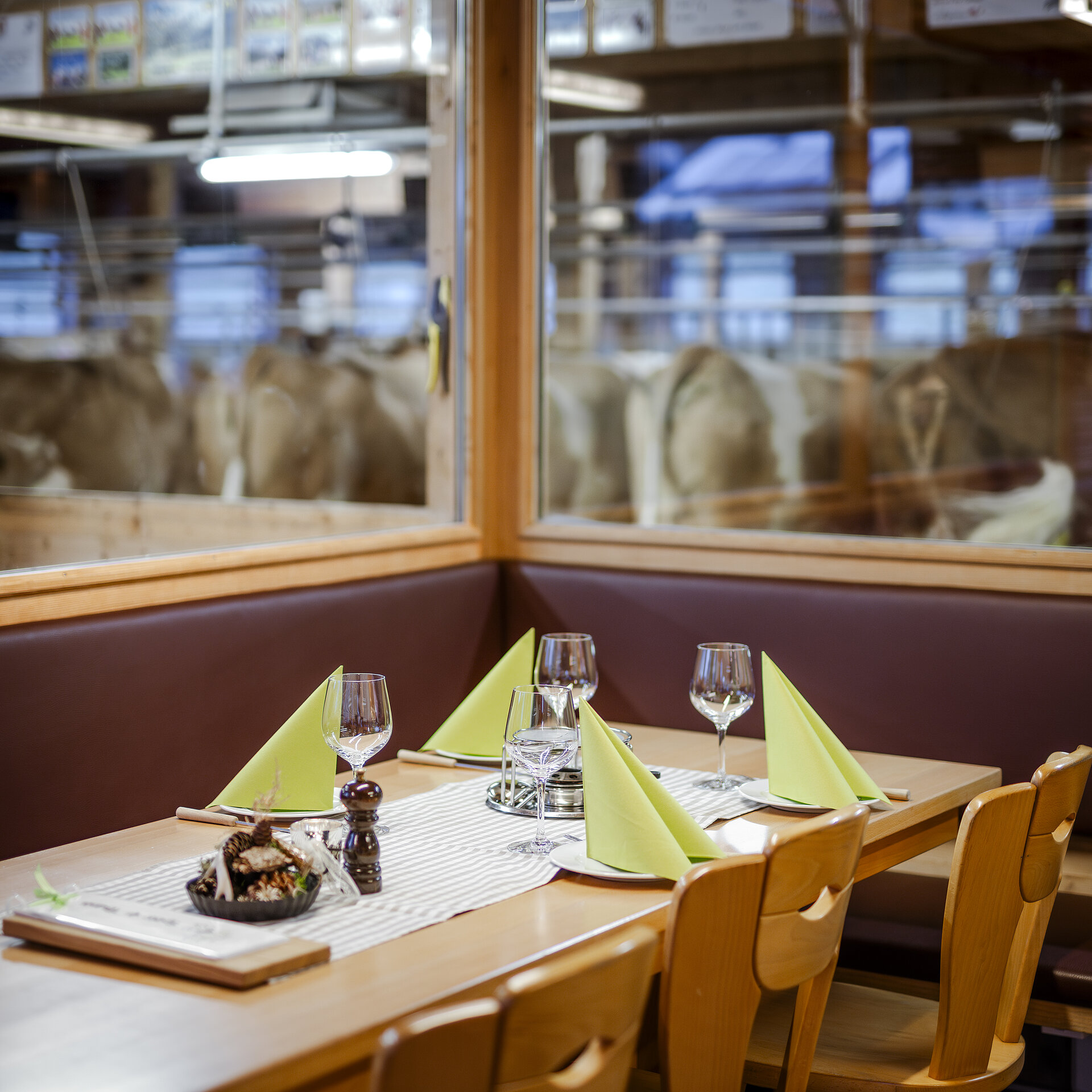 Der Ecktisch in Michels Stallbeizli ist eingedeckt mit grünen Servietten, Weinglässern und Fondue-Caquelon. Neben der Eckbank stehen drei Holzstühle am Tisch und im Hintergrund kann man durch die Fensterscheibe die Kühe im Stall beobachten.