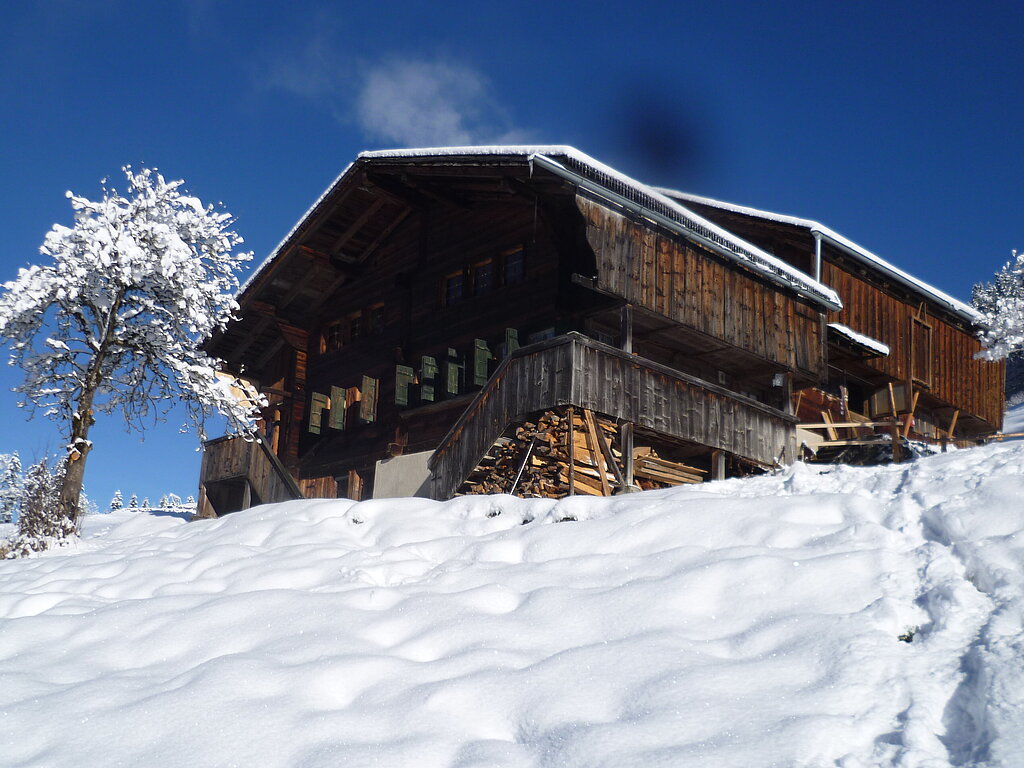 Ein Gebäude mit Baum im Schnee.