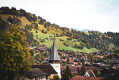 Dorf mit grosser Kirche umgeben von farbigen Bäumen, grünen Wiesen und Wälder.