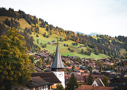 Dorf mit grosser Kirche umgeben von farbigen Bäumen, grünen Wiesen und Wälder.